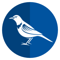  WBA
