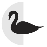 Swansea City