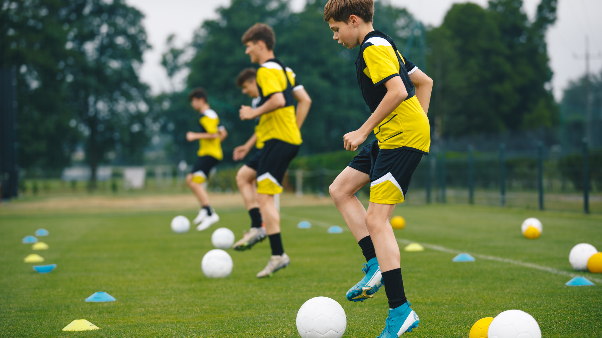 Best Premier League academy ranked