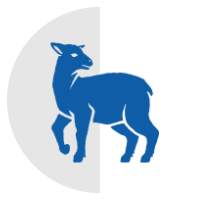  PNE