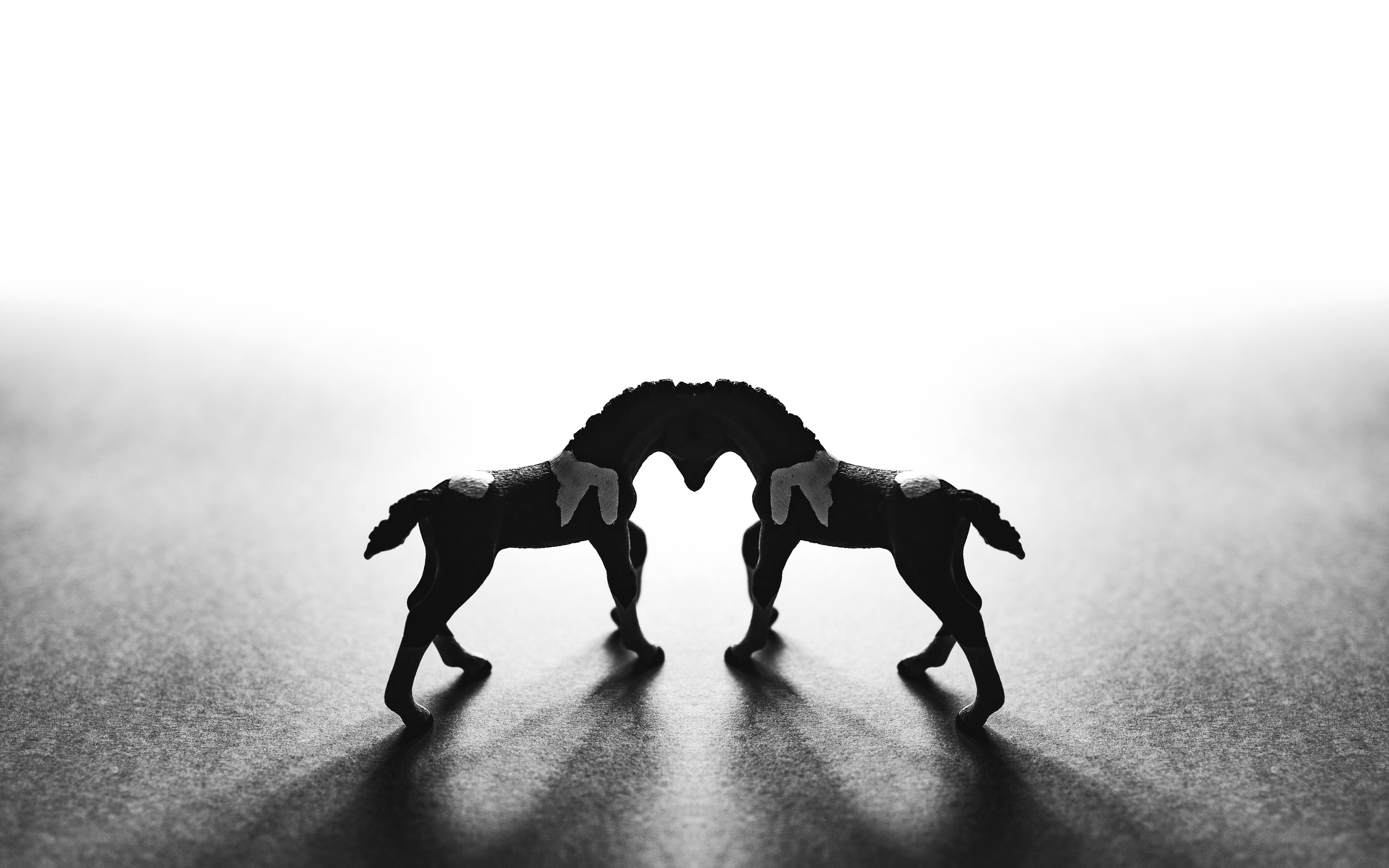 video cover image